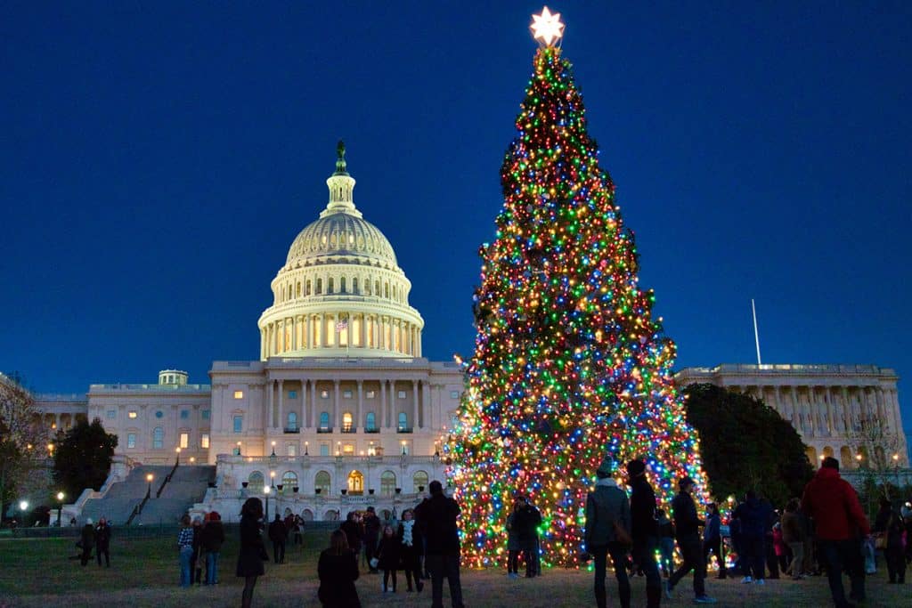Washington, D.C. Holiday Magic 2025: Tree Lightings, ZooLights, Nutcrackers & Holiday Concerts